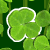 Four Leaf Clover Thumbnail