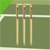 NP Cricket Thumbnail